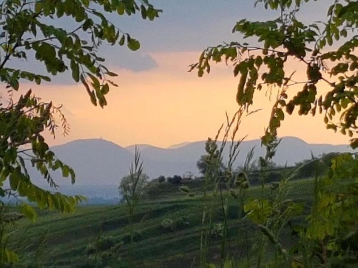Bischoffingen Feriendomizil Bergamini 아파트 외부 사진