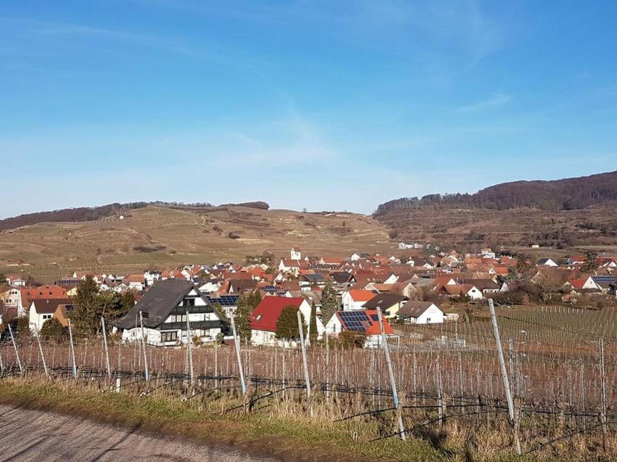 Bischoffingen Feriendomizil Bergamini 아파트 외부 사진