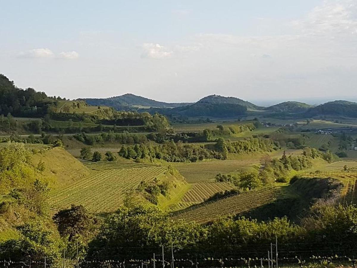 Bischoffingen Feriendomizil Bergamini 아파트 외부 사진