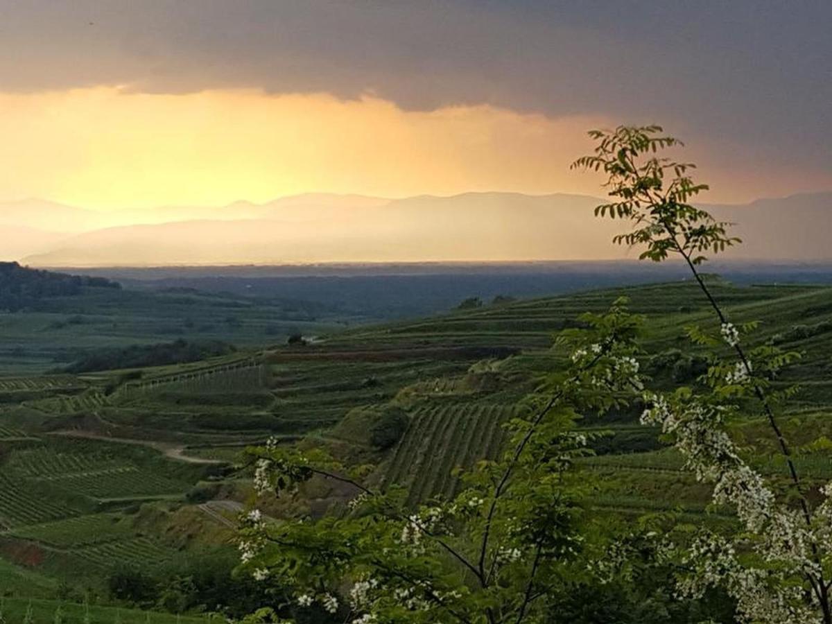Bischoffingen Feriendomizil Bergamini 아파트 외부 사진
